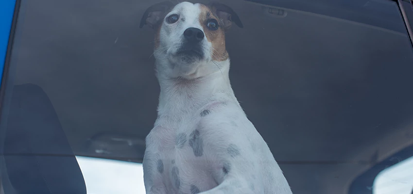 Car Lockout Solutions in Lakeside, California